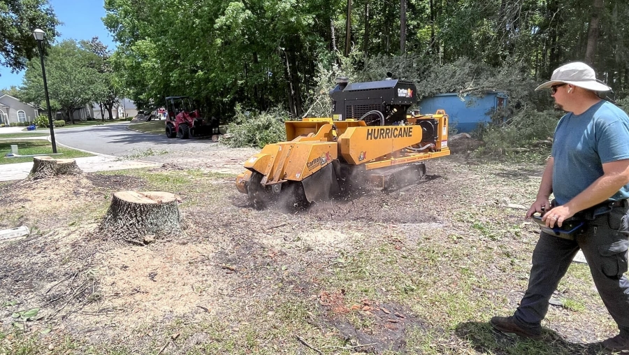 Stump Grinding & Removal Fleming Island, FL Stump Grinding & Removal Fleming Island, FL